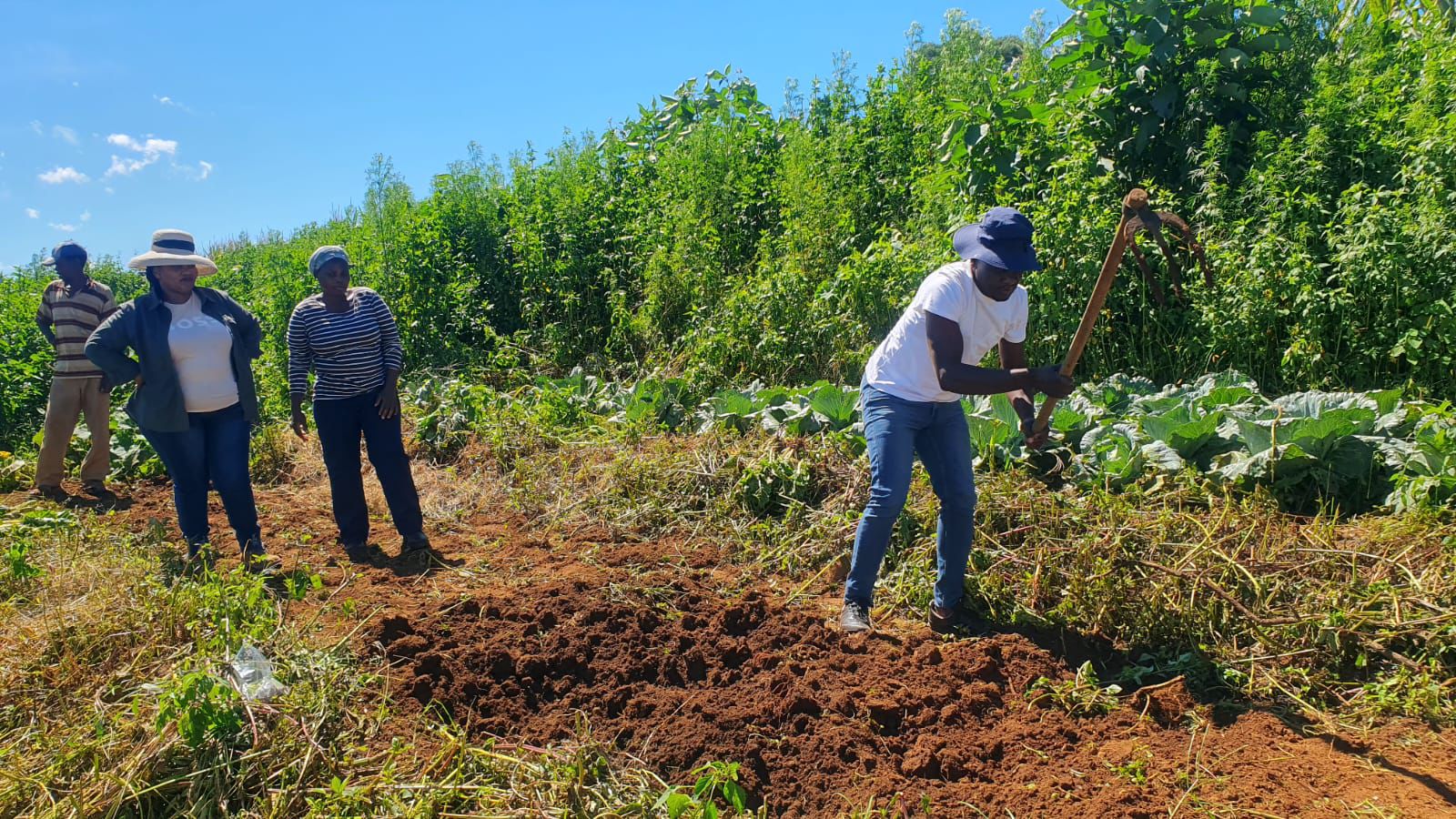 WhatsApp Image 2025-06-10 at 6.45.50 PM