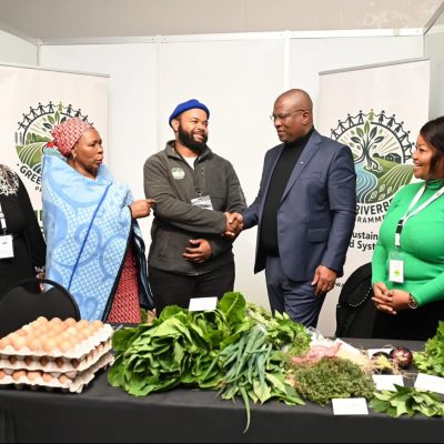 Farming Eastern Cape